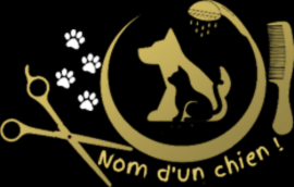 Design sans titre (55)